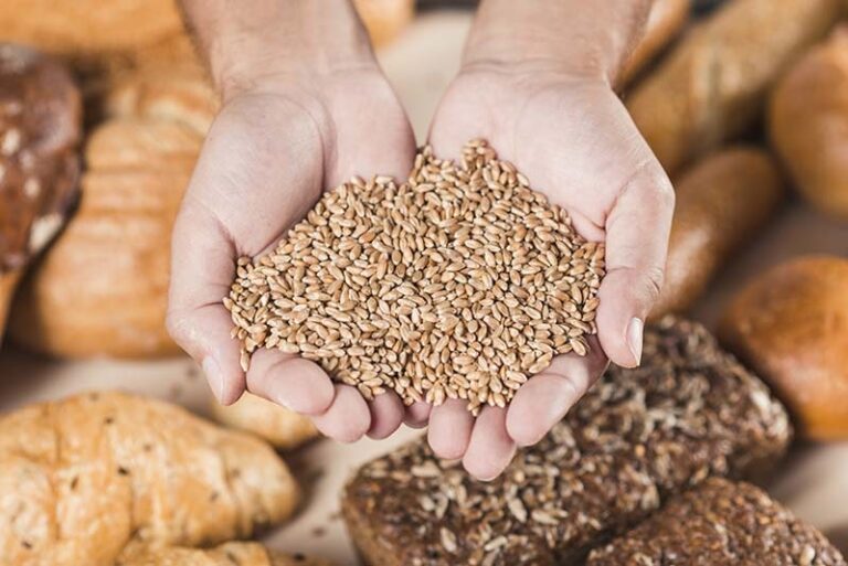 What are whole grain foods (Including Gluten-Free Options)