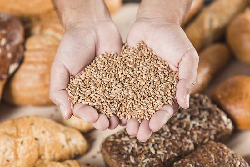 What are whole grain foods (Including Gluten-Free Options)